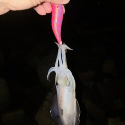 まだまだ蒸し暑い!