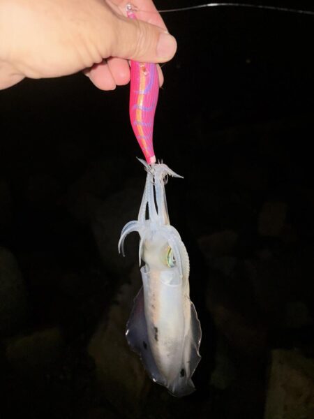 まだまだ蒸し暑い!