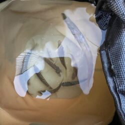 シルバーウィーク明け