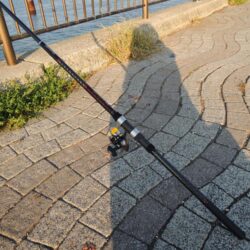 アジは少なく、サバ多く