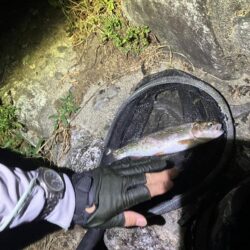 レジャー客と自然破壊者に蹂躙される釣り場