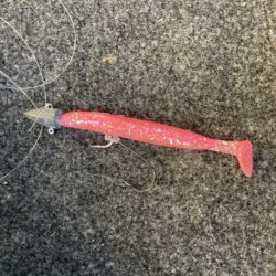 朝マズメの太刀魚調査で13匹GET