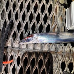 太刀魚釣り
