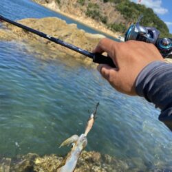 シロギスタ:エギング2戦目は離島の地磯にて