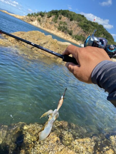 シロギスタ:エギング2戦目は離島の地磯にて