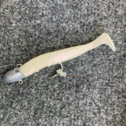 朝の太刀魚調査で4匹GET