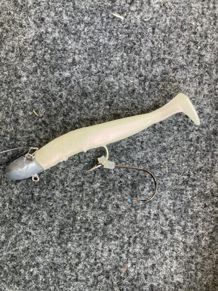 朝の太刀魚調査で4匹GET