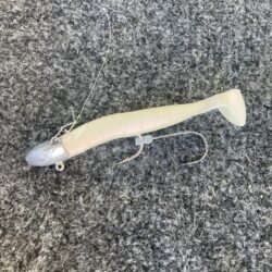 朝の太刀魚調査で14匹GET