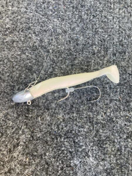 朝の太刀魚調査で14匹GET