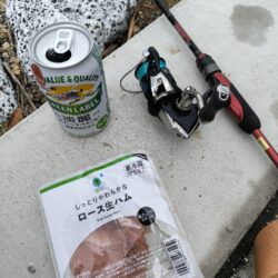 ハゼ釣りはアイゴに注意