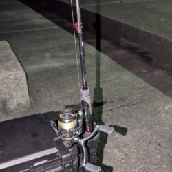 平磯で秋の釣り