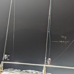 ナイトティップラン