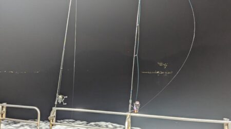 ナイトティップラン