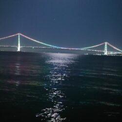 引き釣り 3