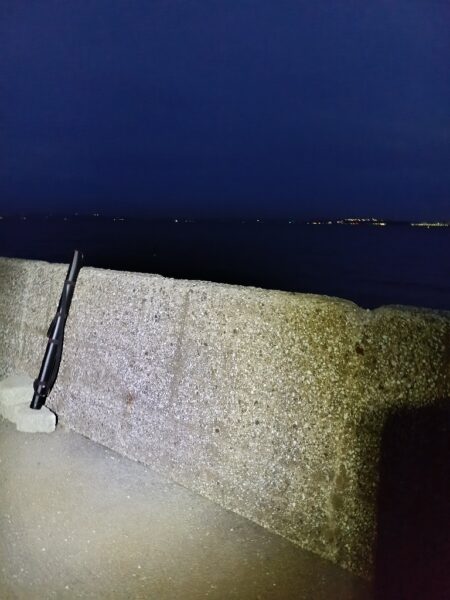 夏タチウオ