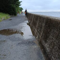 タチウオの活性良好