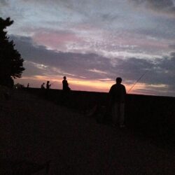 リベンジマッチ