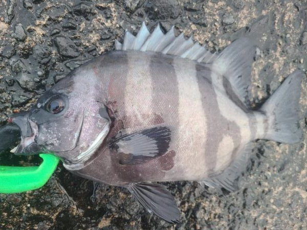 秋ですね