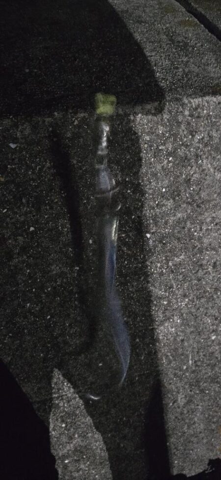 連夜の刀狩り