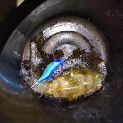 爆風暴風ティップラン