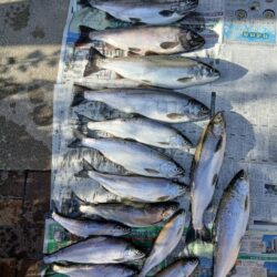 琵琶湖で琵琶マストローリング