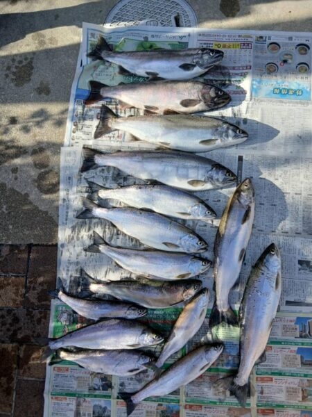琵琶湖で琵琶マストローリング