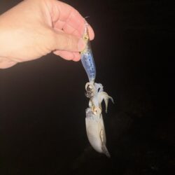 まだまだ蒸し暑い!