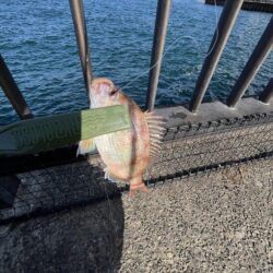 シルバーウィーク中日