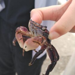 赤灯台で投げ釣り
