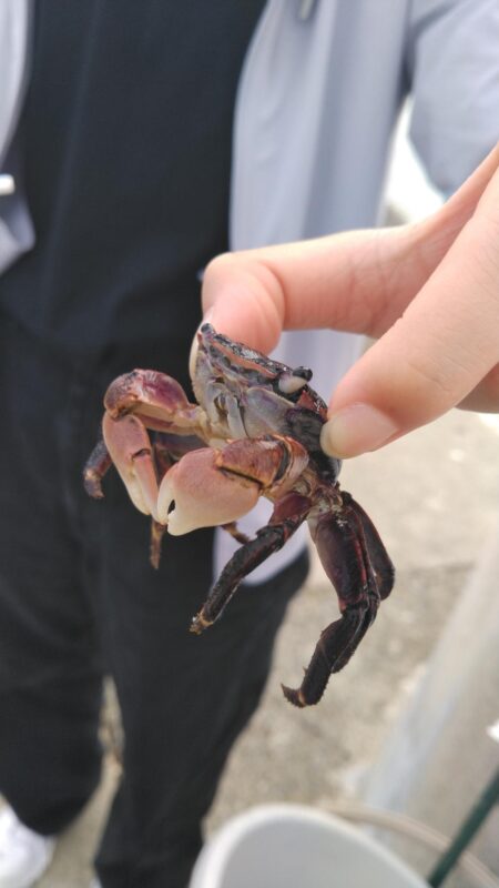 赤灯台で投げ釣り