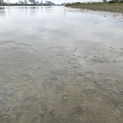 1か月ぶりのシーバス釣行