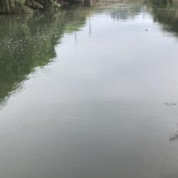 トップウォーターデイシーバス(北茨城市)