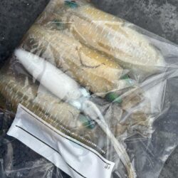 初めての9月丹後