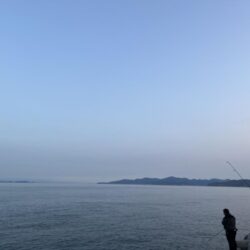 夕まずめ長く絶好調