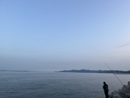 夕まずめ長く絶好調