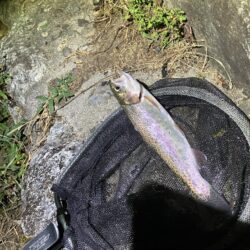 レジャー客と自然破壊者に蹂躙される釣り場