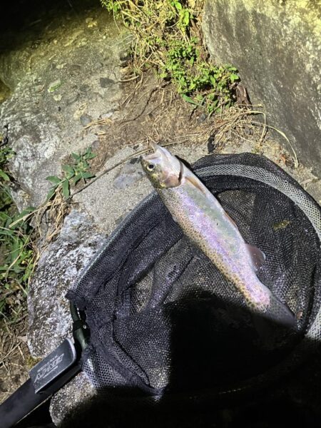 レジャー客と自然破壊者に蹂躙される釣り場