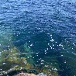 京丹後ライトロックショアジギング。水潮抜けず。。
