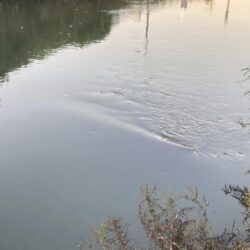 台風後のデイリバーシーバス！(北茨城市)