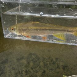 餌釣り&フライフィッシング