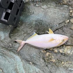 和歌山でも