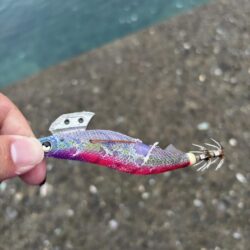 短時間エギング