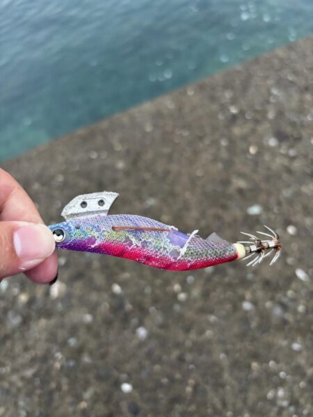 短時間エギング
