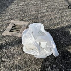 清掃活動：育ちすぎな？新子？