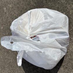 清掃活動：9月に入りエビ撒きアタリが多くな…