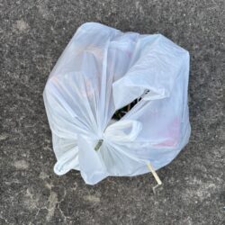 清掃活動：セイゴの引きを楽しみました♪