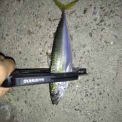 サバゲー