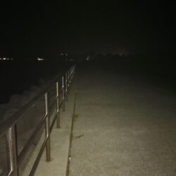 タチウオ⑤