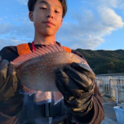 変わった魚も釣りました