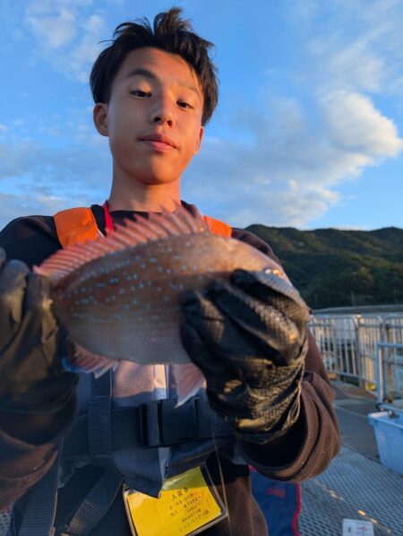 変わった魚も釣りました